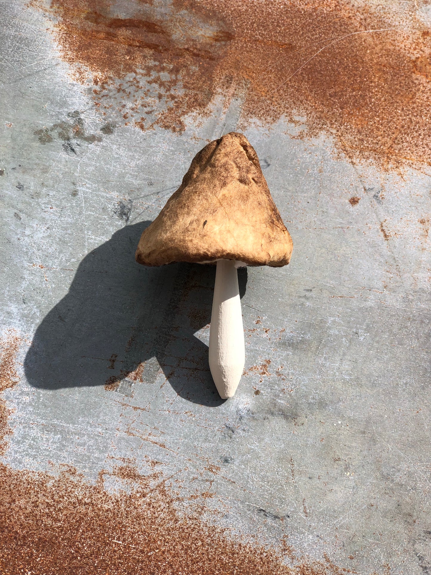 DIY, lav dine egne svampe i vat
